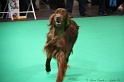 Crufts2011 584